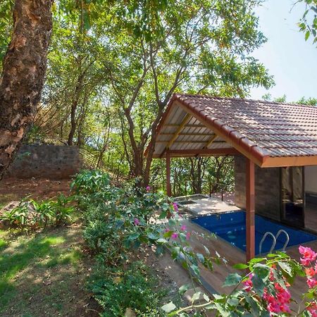 Soul Tree Villa 50 Super Luxury Villa With Heated Plunge Pool And Jacuzzi ลาวาซา ภายนอก รูปภาพ